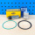 Benzinpumpe Set Magneti Marelli für Ducati Monster S4 S4R