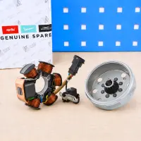 Original Piaggio Lichtmaschine komplett Rotor mit Stator