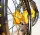 Radsatz 3.5+5.0x17 black / gold / black /gold