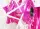 Radsatz 3.5+5.0x17 bicolor straight white-pink / pink / white / pink